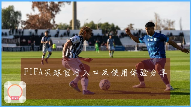 FIFA买球官方入口及使用体验分享