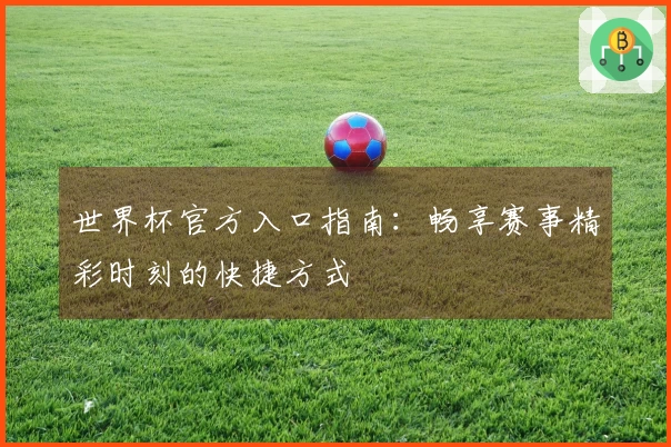 世界杯官方入口指南：畅享赛事精彩时刻的快捷方式