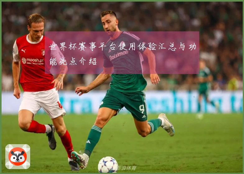 世界杯赛事平台使用体验汇总与功能亮点介绍