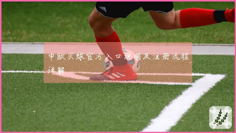 中欧买球官方入口说明及注册流程详解