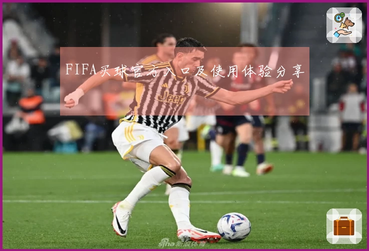 FIFA买球官方入口及使用体验分享