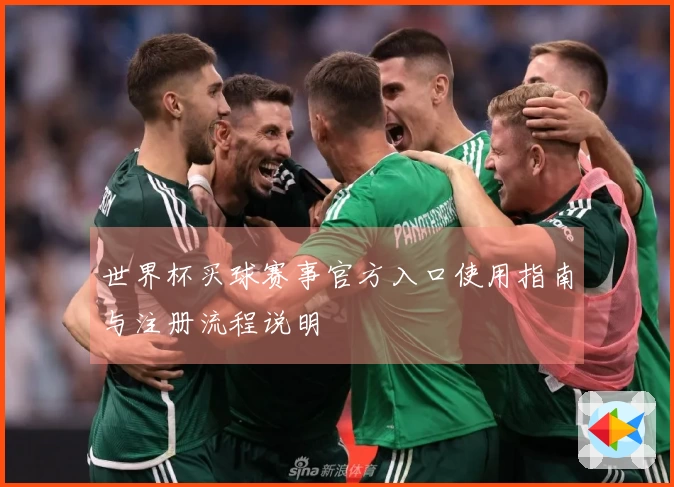 世界杯买球赛事官方入口使用指南与注册流程说明
