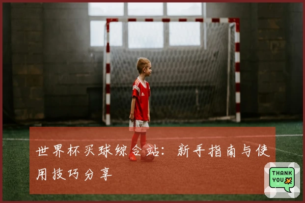 世界杯买球综合站：新手指南与使用技巧分享