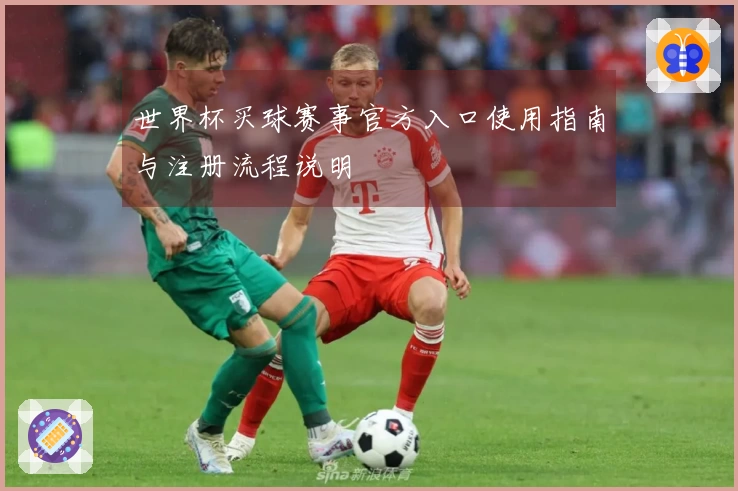 世界杯买球赛事官方入口使用指南与注册流程说明
